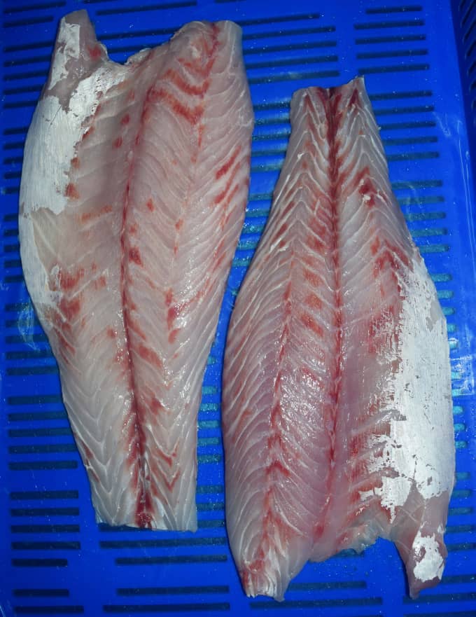 Nile perch fillets ready for cooking